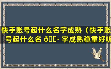 快手账号起什么名字成熟（快手账号起什么名 🌷 字成熟稳重好听）